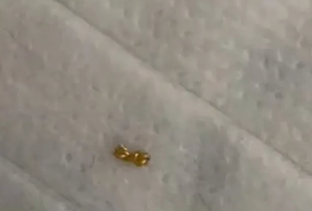 After studying surveillance footage, the boy’s parents were only able to retrieve a small part of the necklace. Photo: QQ.com After studying surveillance footage, the boy’s parents were only able to retrieve a small part of the necklace. Photo: QQ.com