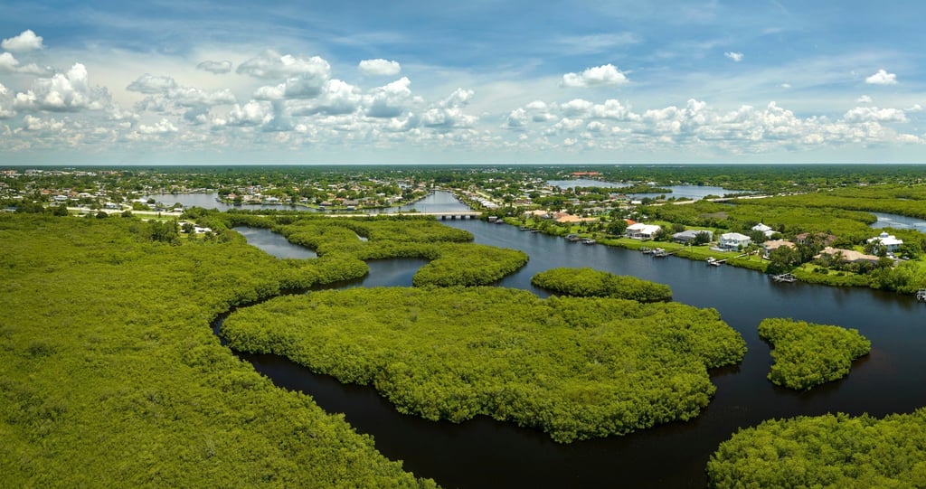 The Everglades National Park is one of the most unique and ecologically important parks in the US. Photo: Shutterstock