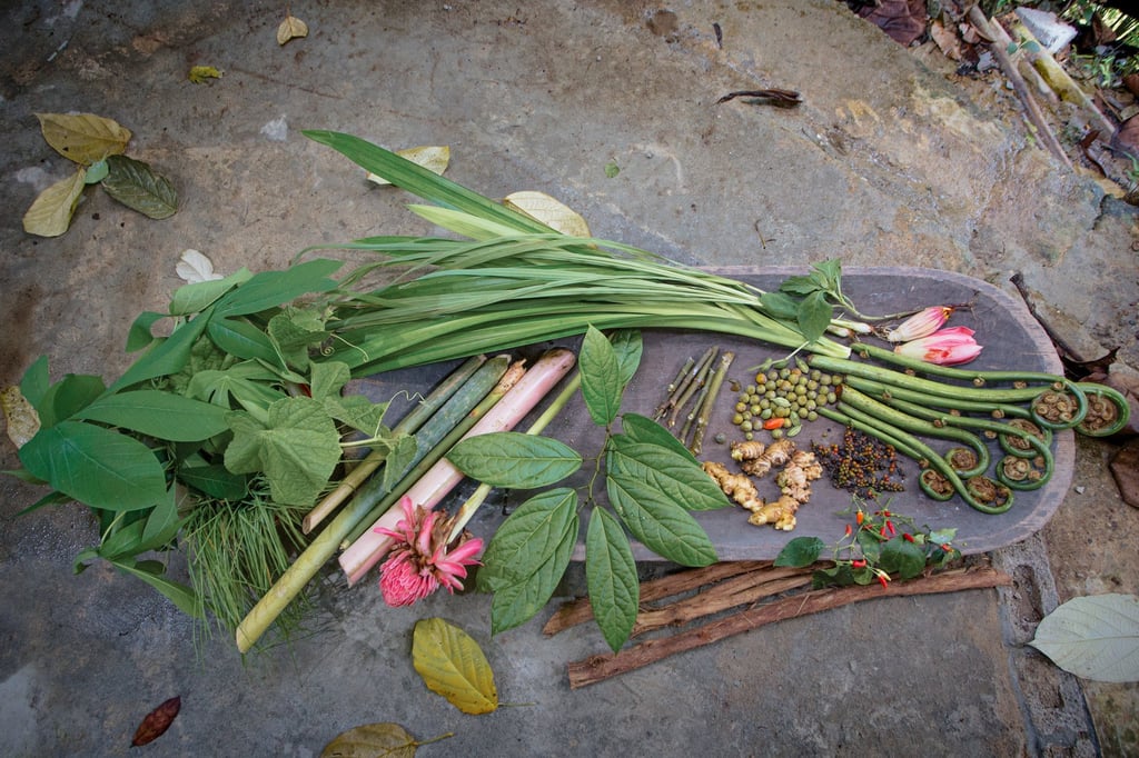 Vegetables and herbs from Sarawak. Photo: courtesy KINO Magazine Vegetables and herbs from Sarawak. Photo: courtesy KINO Magazine