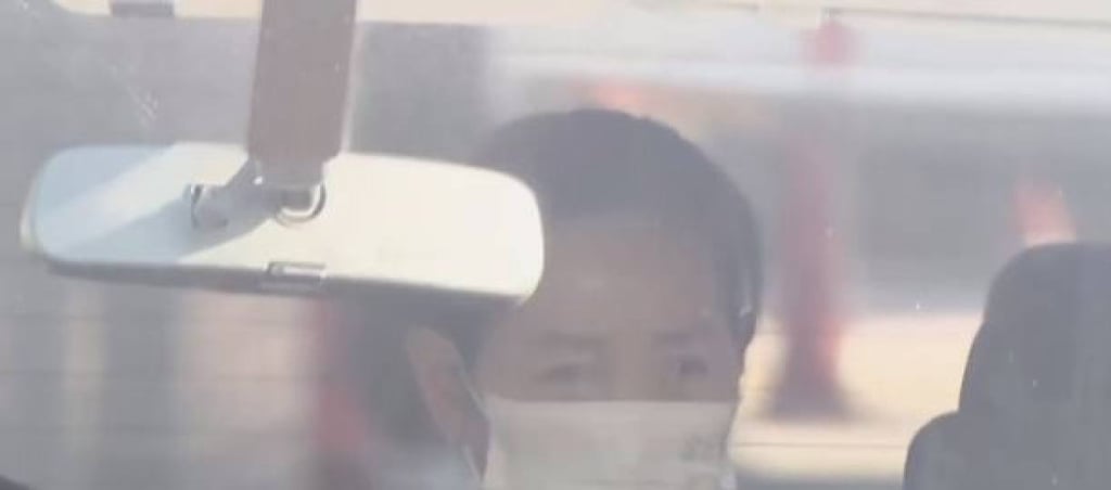 Some online observers have questioned why the Japanese authorities identified Wu and released a picture of her masked face above. Photo: 163.com Some online observers have questioned why the Japanese authorities identified Wu and released a picture of her masked face above. Photo: 163.com