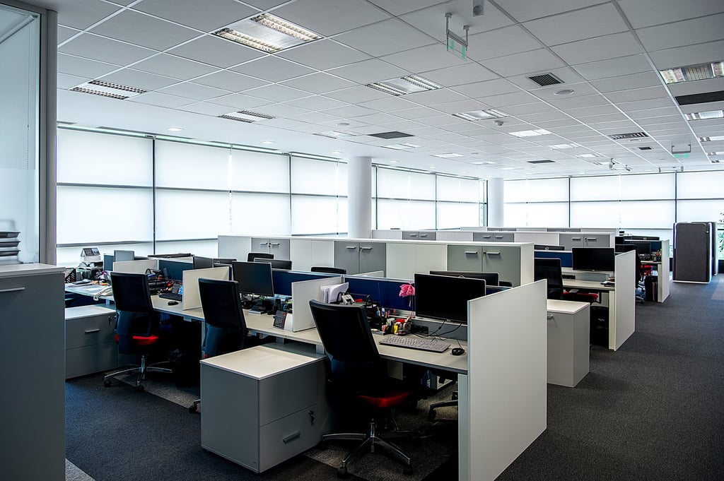 AI and automation are increasingly being cited as a factor driving job cuts and hiring freezes. Photo: TNS AI and automation are increasingly being cited as a factor driving job cuts and hiring freezes. Photo: TNS