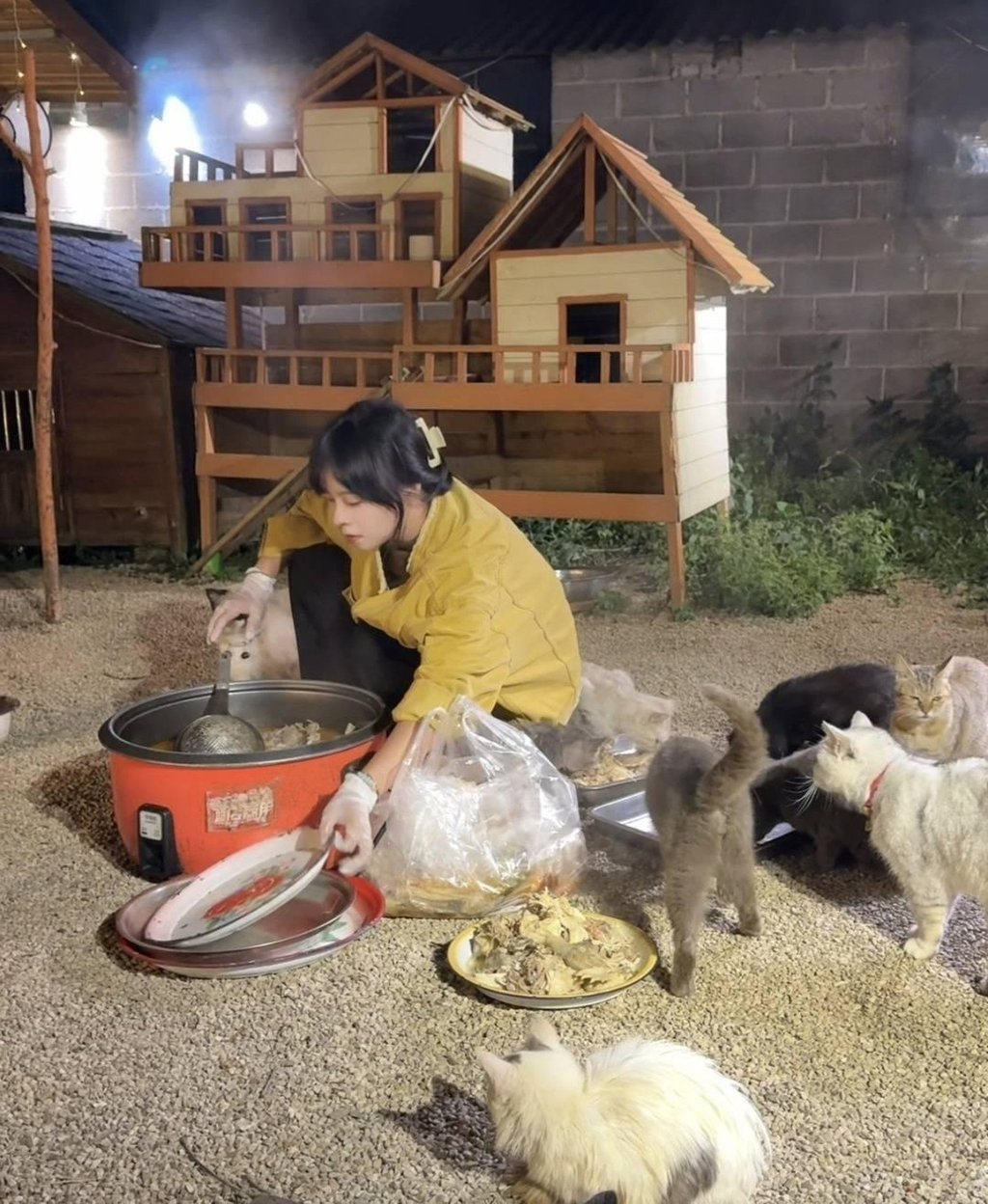 След като се завръща у дома, тя отново задушава храната, за да намали съдържанието на мазнини и сол, преди да я даде на животните. Снимка: Baidu След като се завръща у дома, тя отново задушава храната, за да намали съдържанието на мазнини и сол, преди да я даде на животните. Снимка: Baidu