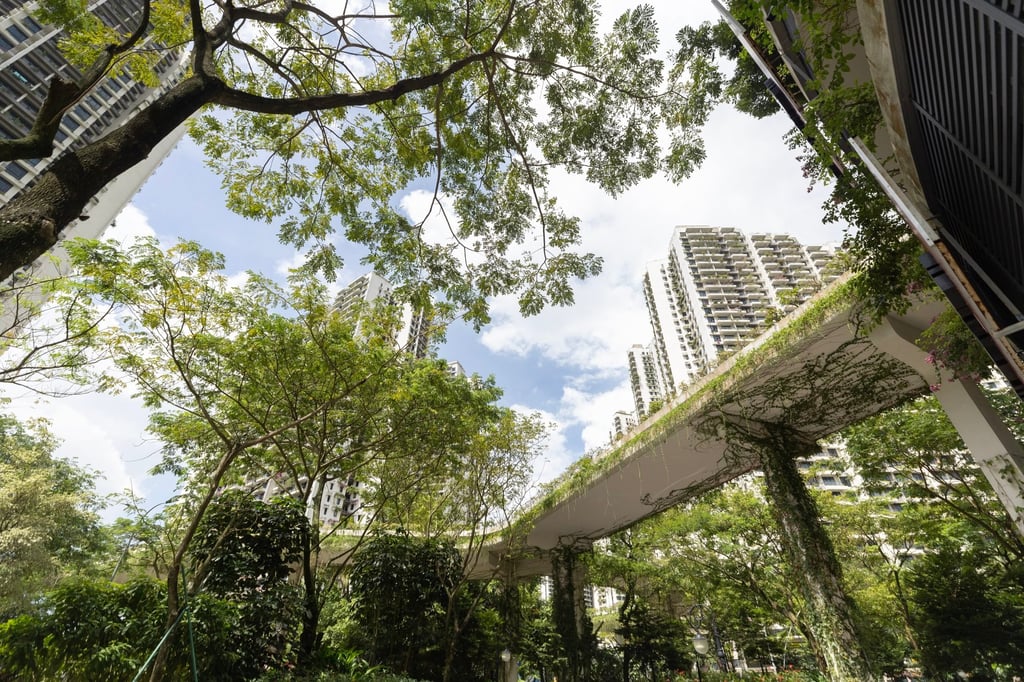 Residential buildings are seen in Chinese developer Country Garden’s Forest City development in Johor Bahru, Malaysia. Photo: EPA-EFE