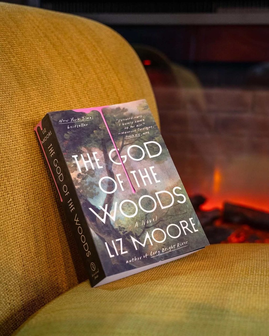 The God of the Woods by Liz Moore was recommended by Barack Obama as a book of the summer in 2024. Photo: @riverheadbooks/Instagram The God of the Woods by Liz Moore was recommended by Barack Obama as a book of the summer in 2024. Photo: @riverheadbooks/Instagram