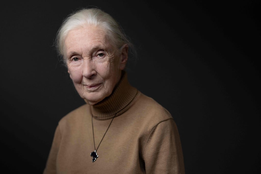 Jane Goodall in Paris, in October 2024. Photo: AFP