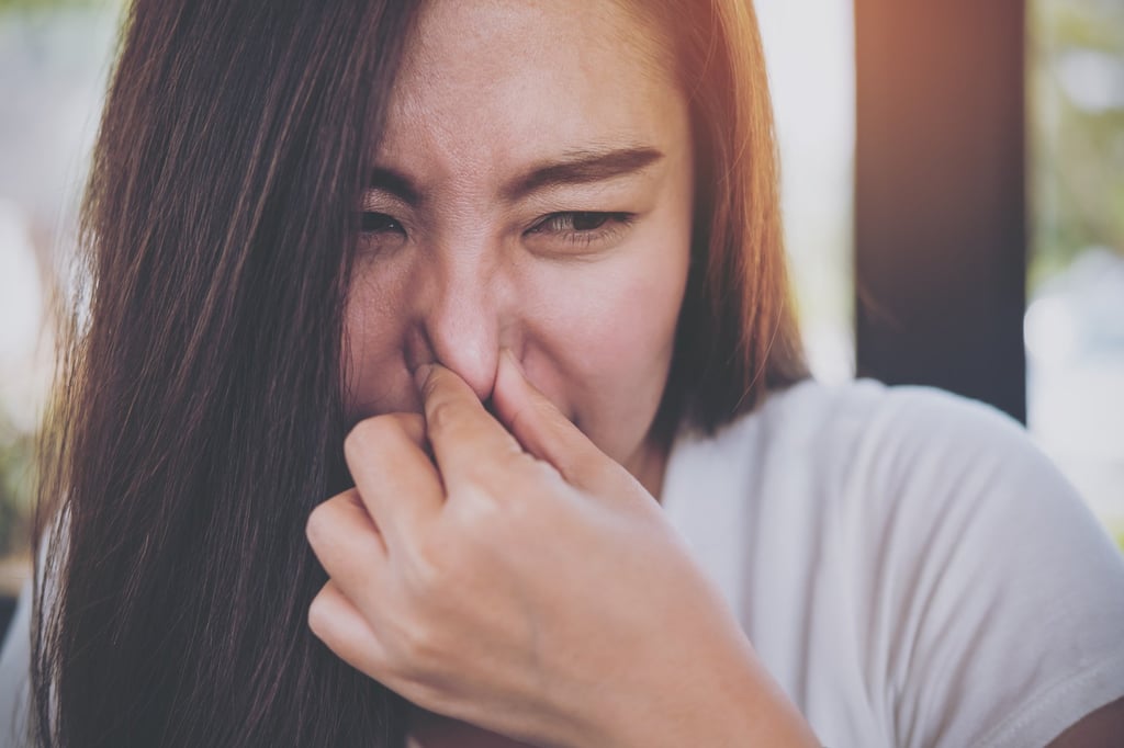 Research suggests the very compounds that give flatulence its stench may hold significant medical promise. Photo: Shutterstock