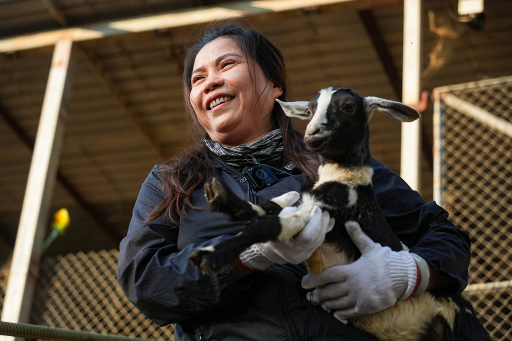 Cheung Siu-ling has cared for her goats for more than two decades. Photo: Eugene Lee