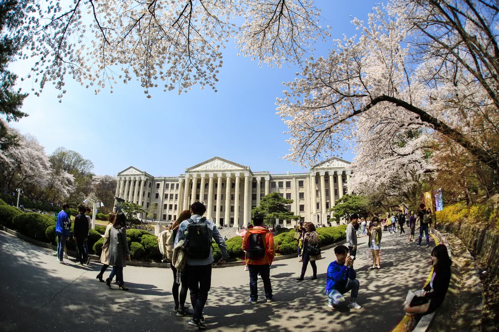 Students walk and take photographs among the cherry blossom trees at the Kyung Hee University campus in Seoul. Photo: Shutterstock Students walk and take photographs among the cherry blossom trees at the Kyung Hee University campus in Seoul. Photo: Shutterstock