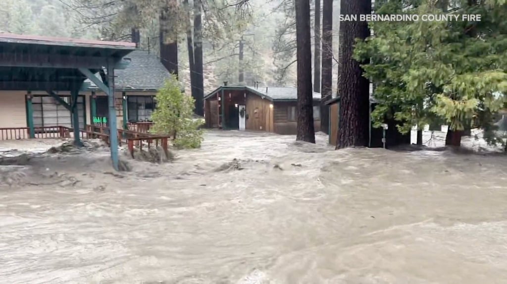 Houses and trees partially submerged in San Bernardino County. Photo: San Bernardino County Fire via Reuters