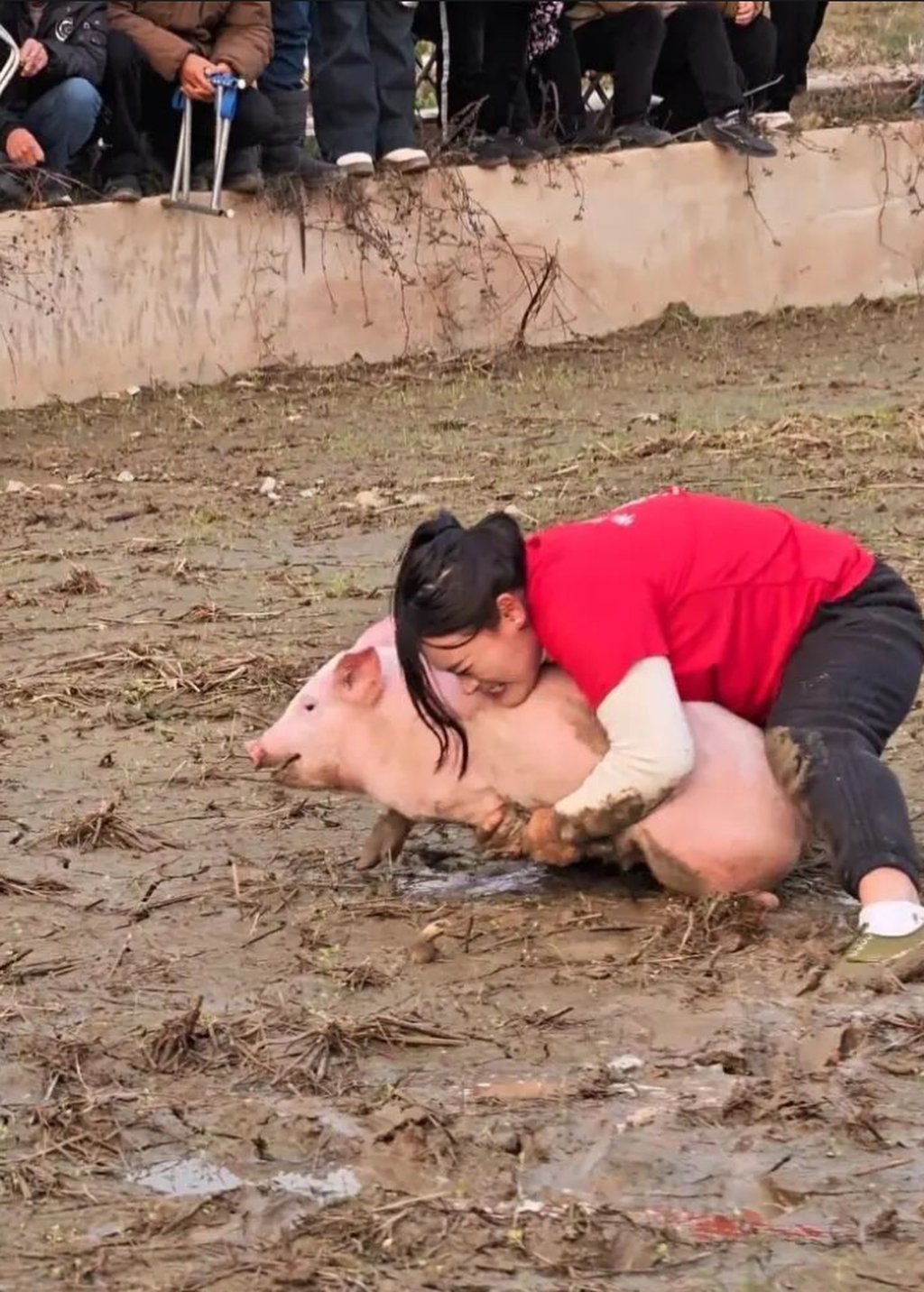 Wen Fengqin gets down and dirty with a struggling pig during one of the many contests she has taken part in. Photo: thepaper