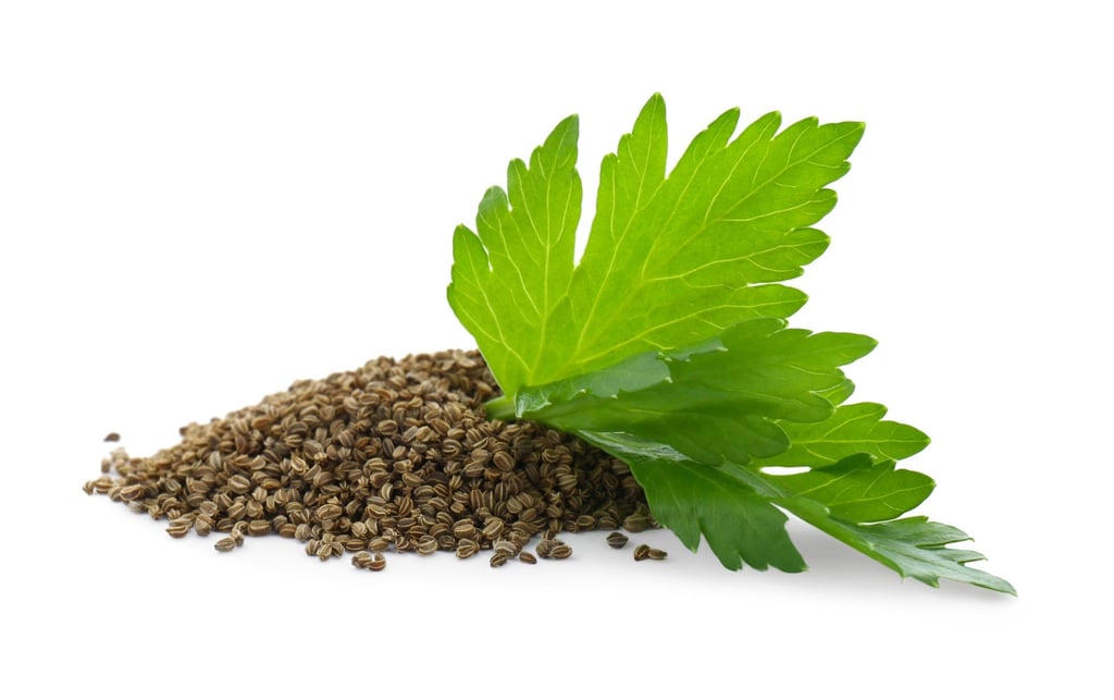 Celery seeds are used as a diuretic and to treat everything from inflammation to muscle spasms, anxiety and gout. Photo: Shutterstock