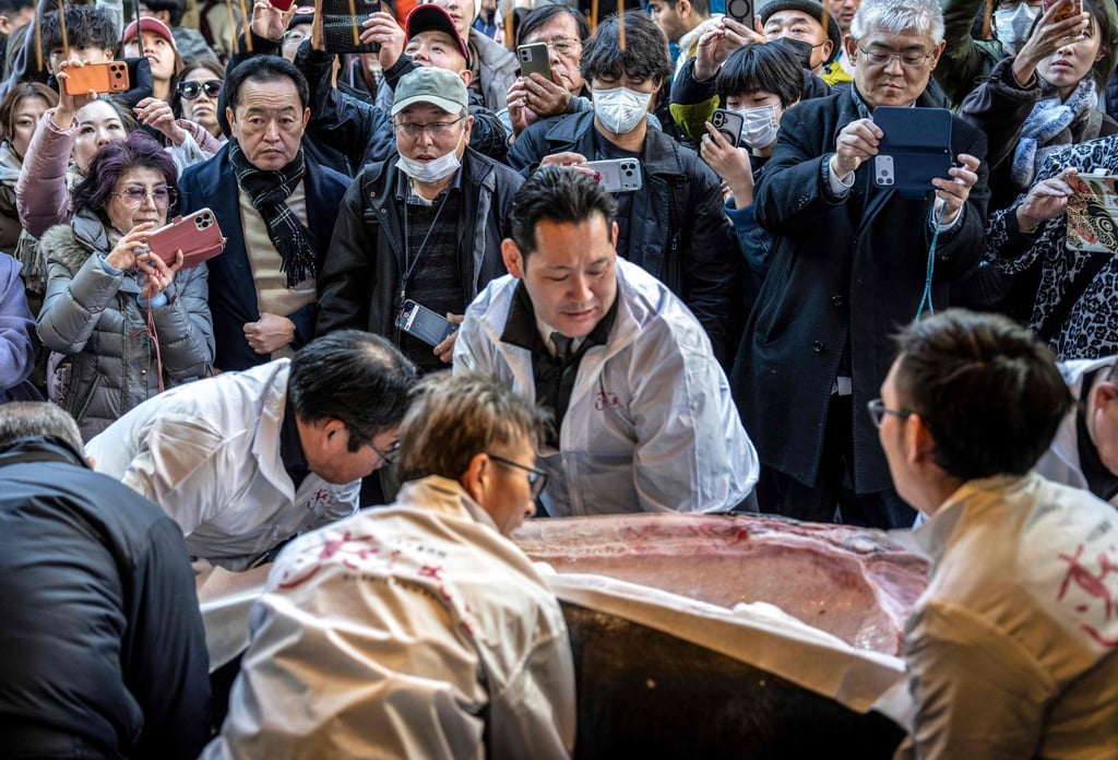 People gather to see a 243-kilogram bluefin tuna at the Sushizanmai sushi restaurant in Tokyo on Monday. Photo: AFP