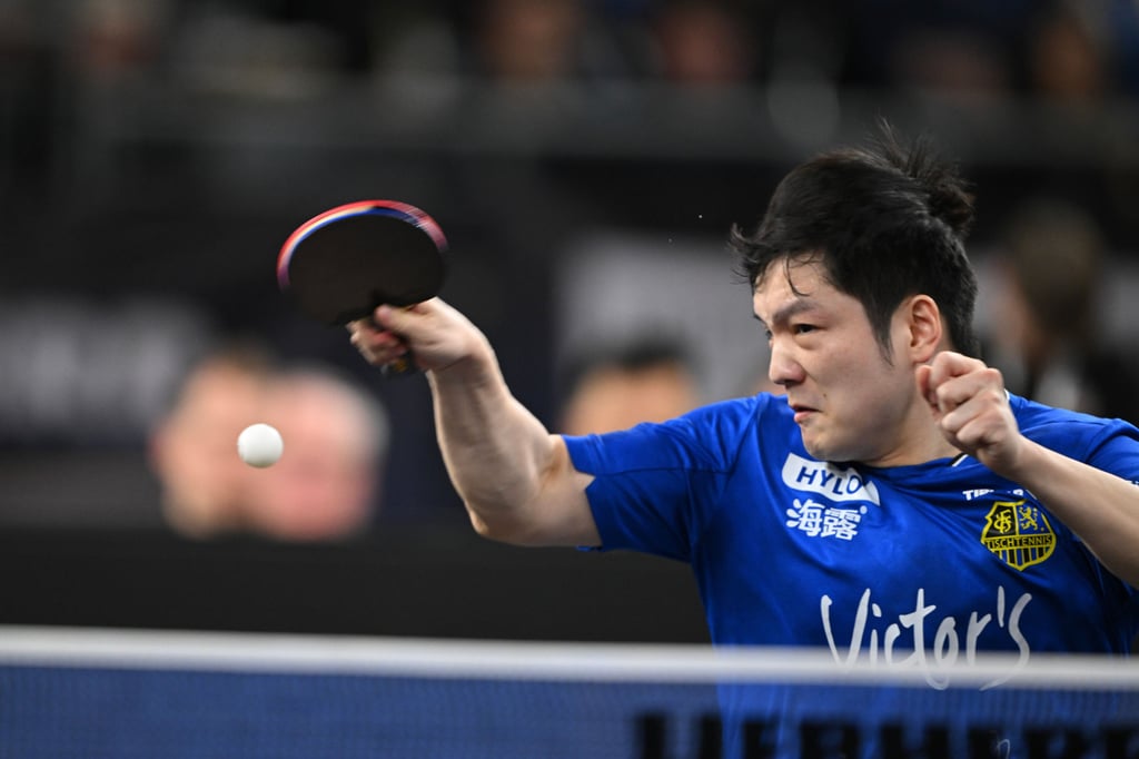 Fan Zhendong was in imperious form, winning all four of his singles matches. Photo: Xinhua Fan Zhendong was in imperious form, winning all four of his singles matches. Photo: Xinhua