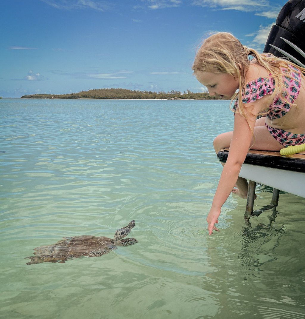 Meeting turtles in North Eleuthera off hotelier Ben Simmons’ boat. Photo: Tara Loader Wilkinson