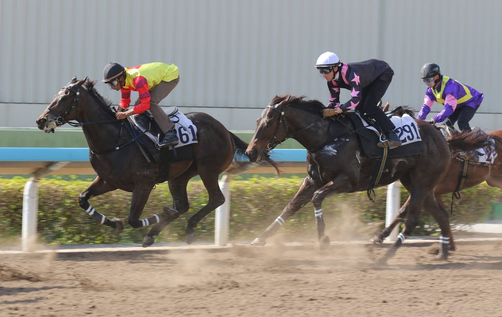 Sir Charge (left; #361) is a play on the word ‘surcharge’. Photo: Kenneth Chan. Sir Charge (left; #361) is a play on the word ‘surcharge’. Photo: Kenneth Chan.