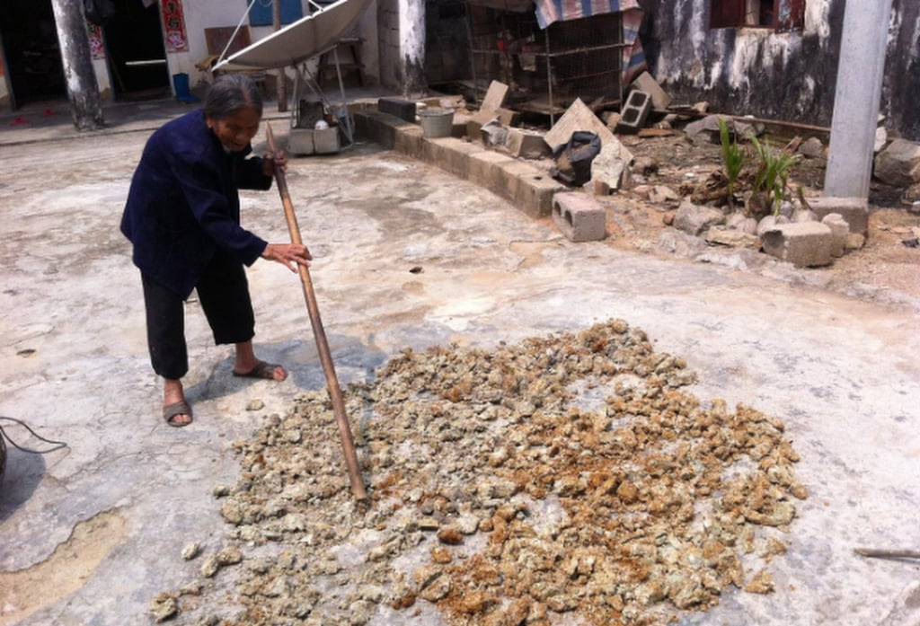 An elderly Li woman works with a long stick to dry the earth in a courtyard. Photo: zhihu