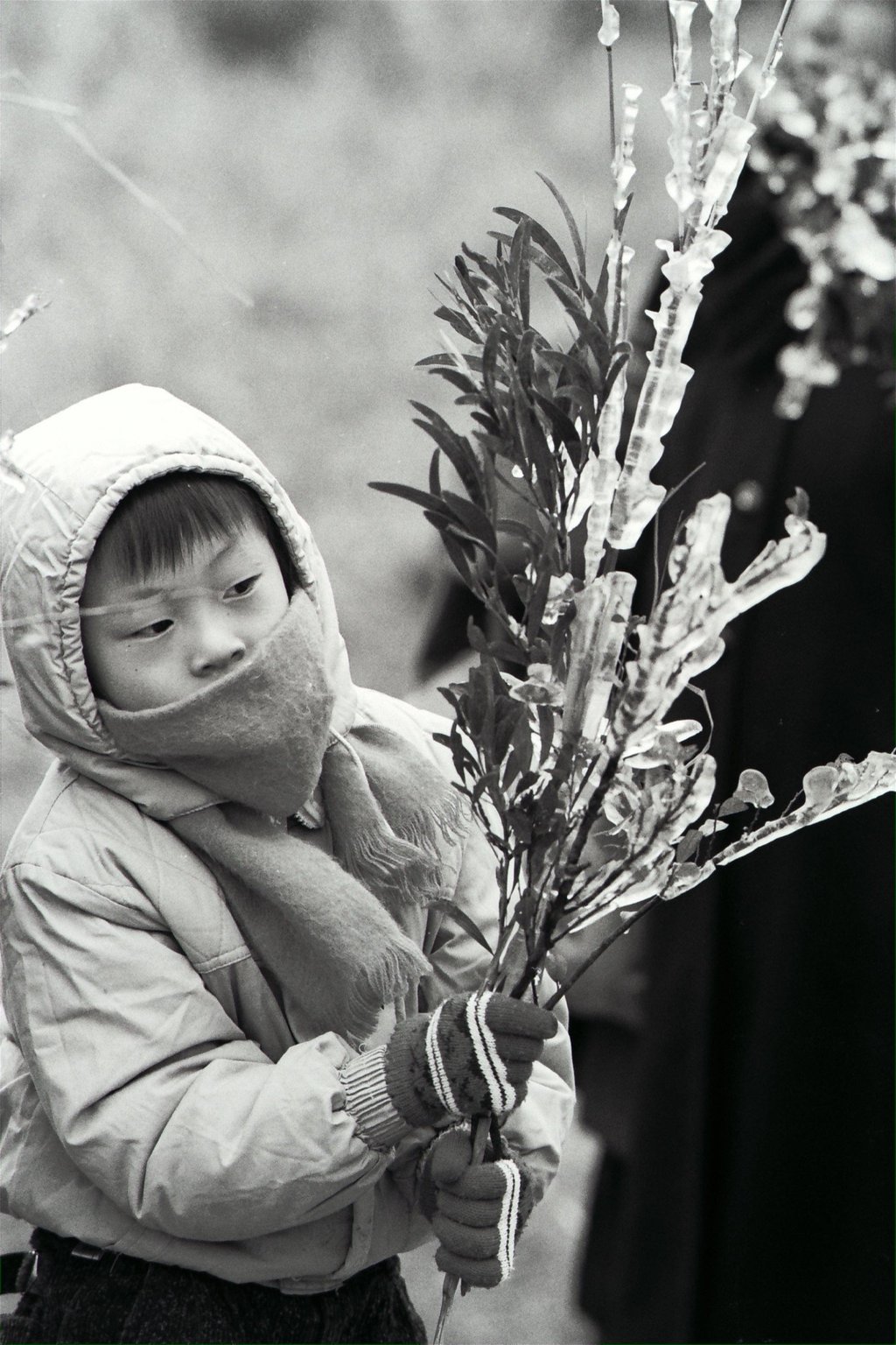 A child enjoys the cold snap at Tai Mo Shan Country Park in December 1991. Photo: SCMP Archives