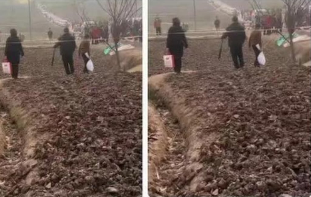 Crowds of people came to collect soil from the land outside Daidai’s home. Photo: myzaker Crowds of people came to collect soil from the land outside Daidai’s home. Photo: myzaker