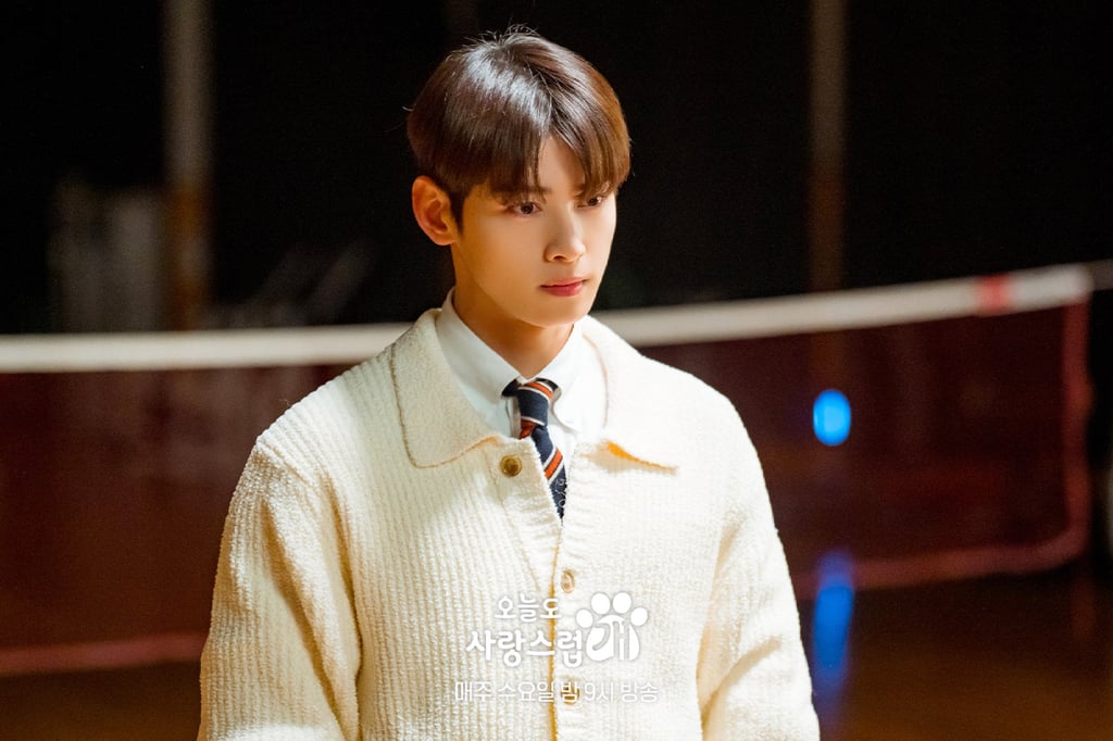 Cha Eun-woo in a still from “A Good Day to Be a Dog”. Cha Eun-woo in a still from “A Good Day to Be a Dog”.