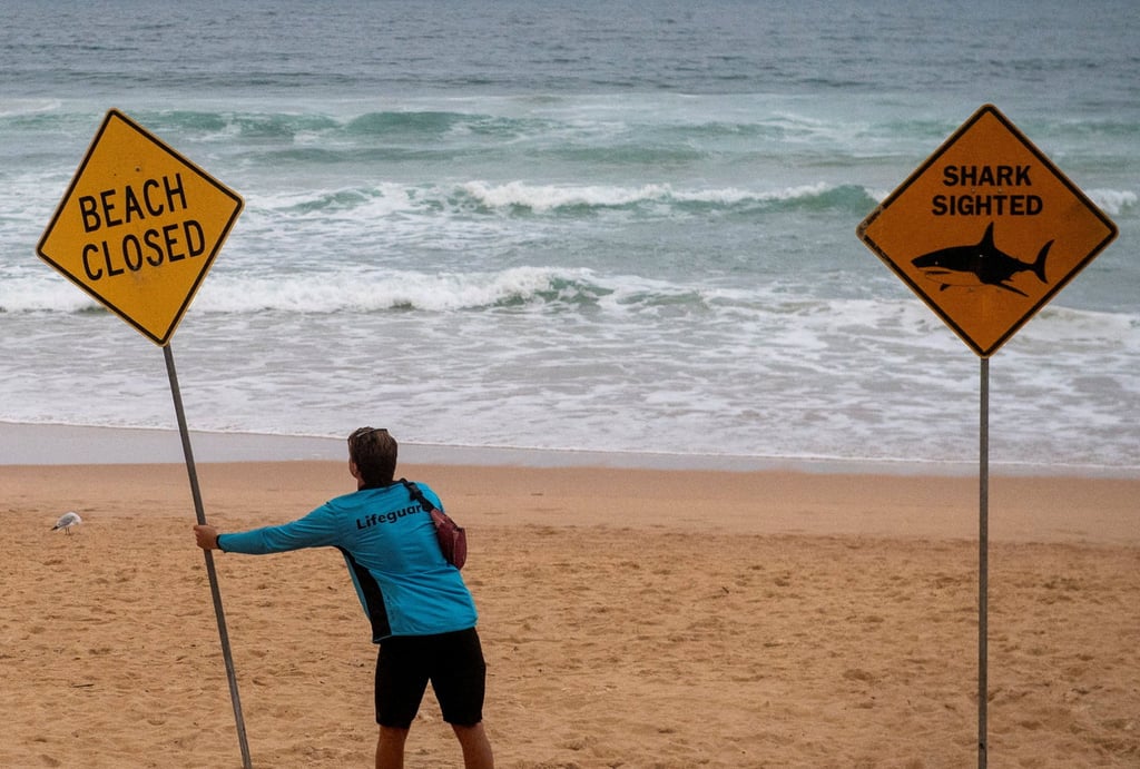 A lifeguard closes off Manly Beach on Monday. Photo: Reuters A lifeguard closes off Manly Beach on Monday. Photo: Reuters