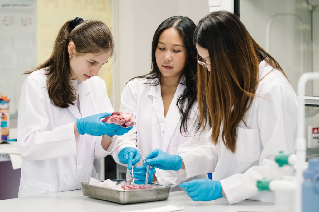 Malvern College Hong Kong prepares students for a dynamic future. Photo: Handout