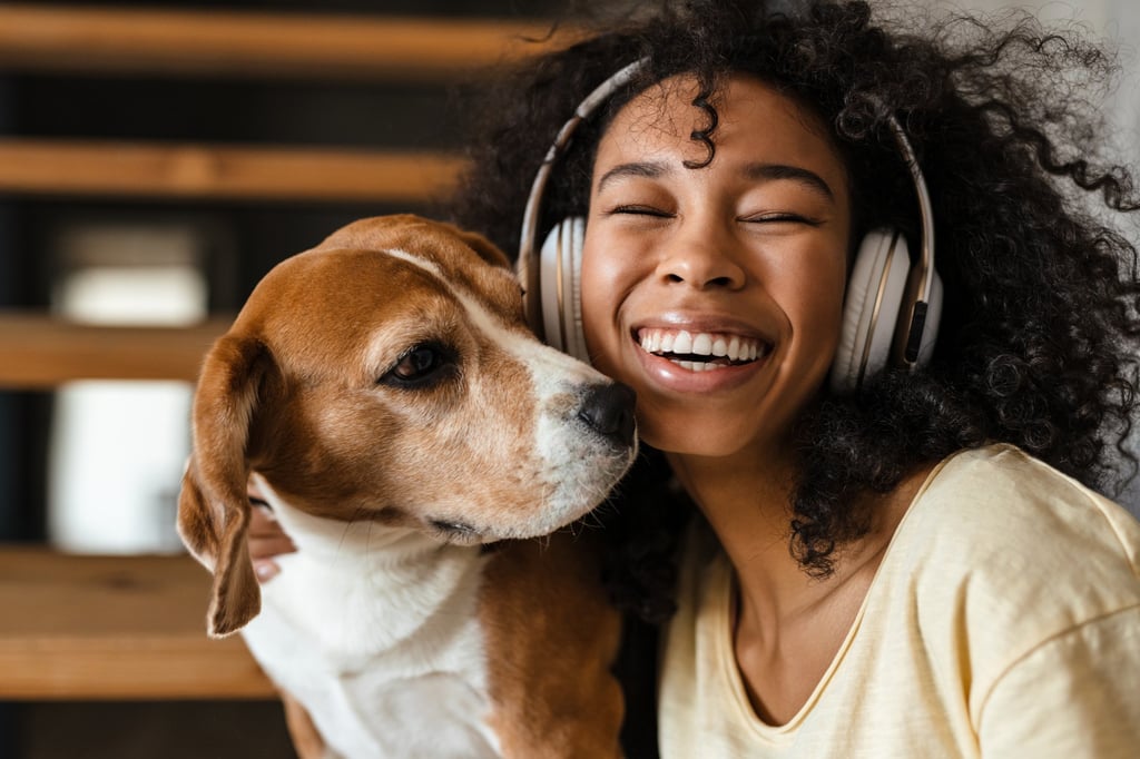 Pet owners, trainers and animal shelter workers sometimes use music as a training tool, a distraction from triggers, and to create a relaxing environment for dogs. Photo: Shutterstock