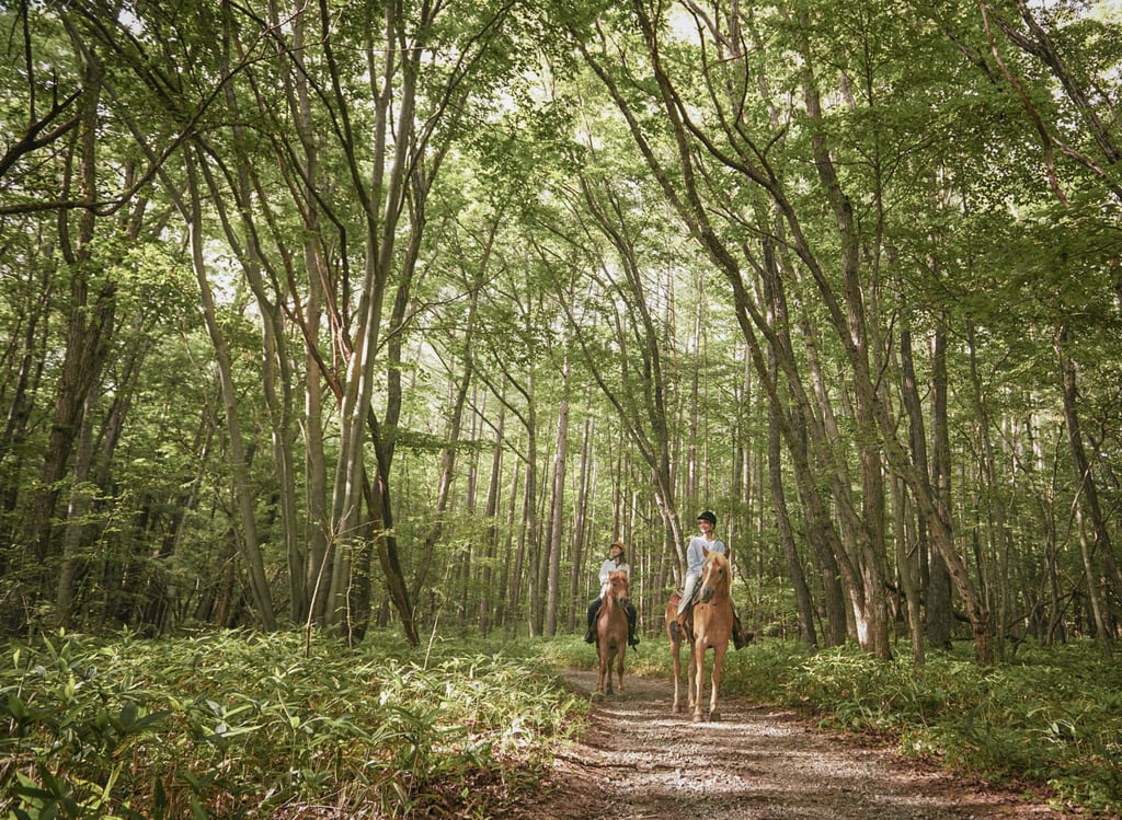 Horse-riding is popular with guests staying at wine resort Risonare Yatsugatake, in Japan’s Yamanashi prefecture. Photo: courtesy Risonare Yatsugatake