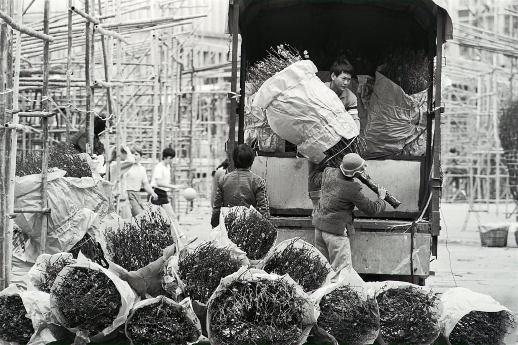 Workers unload peach blossoms at the Victoria Park flower market in 1986. Photo: SCMP Archives