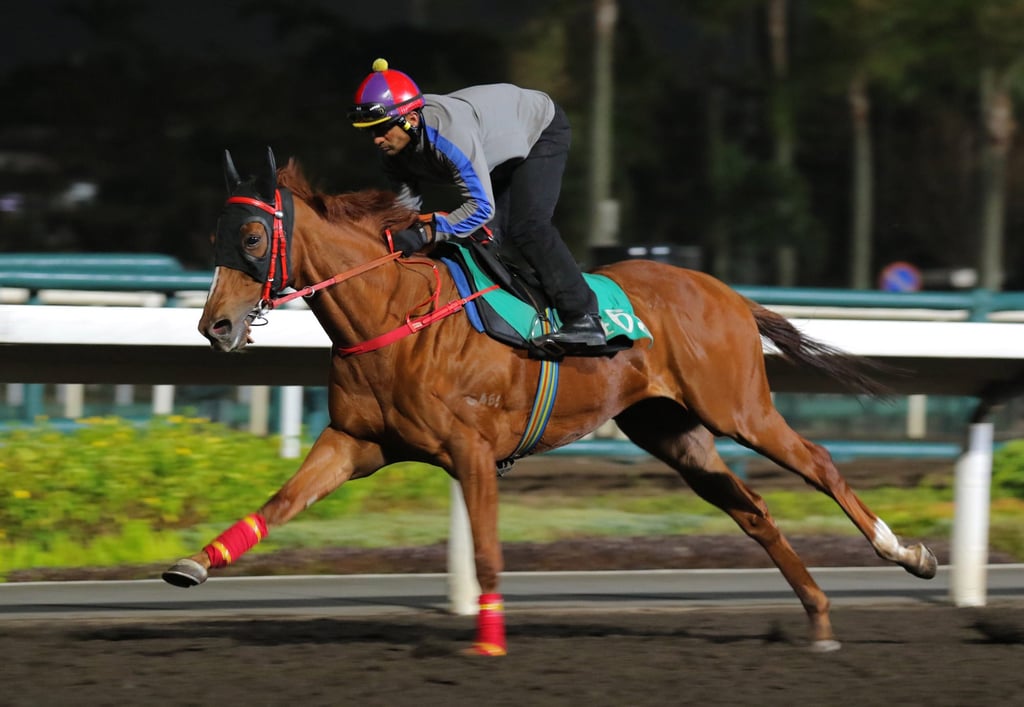 The Horse is always dynamic and charismatic. Photo: Kenneth Chan