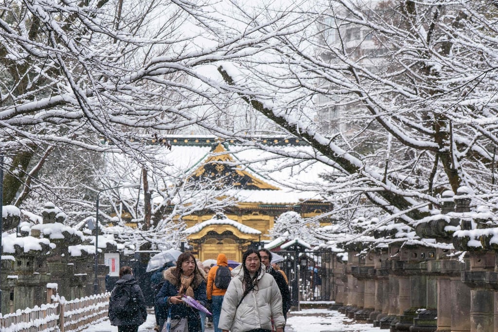 Tourists visit the Toshogu Shrine in Ueno Park, Tokyo, on Sunday. Photo: AFP