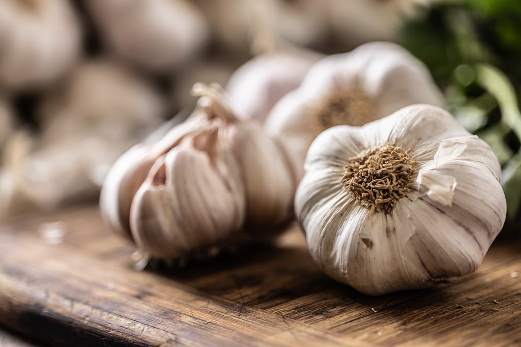 In traditional Chinese medicine, garlic is believed to boost the immune system, enhance cardiovascular health, and alleviate inflammation. Photo: Getty Images In traditional Chinese medicine, garlic is believed to boost the immune system, enhance cardiovascular health, and alleviate inflammation. Photo: Getty Images