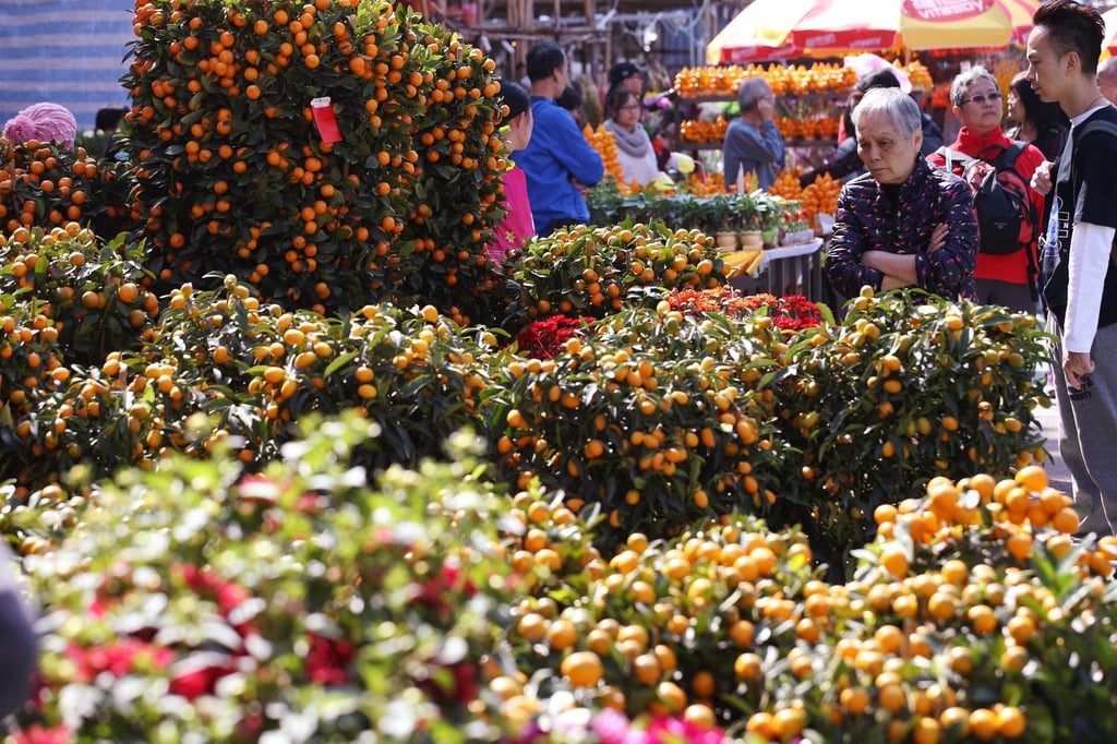 People shop for tangerine trees at a Lunar New Year Fair in Victoria Park, Hong Kong, in 2017. Mandarin orange cultivation in the Chiuchow- or Teochew-speaking part of Guangdong can be traced back to the Tang dynasty. Folk customs involving tangerine trees and mandarin oranges have since taken root in communities with sizeable Teochew populations, including Hong Kong and Singapore. Photo: Felix Wong People shop for tangerine trees at a Lunar New Year Fair in Victoria Park, Hong Kong, in 2017. Mandarin orange cultivation in the Chiuchow- or Teochew-speaking part of Guangdong can be traced back to the Tang dynasty. Folk customs involving tangerine trees and mandarin oranges have since taken root in communities with sizeable Teochew populations, including Hong Kong and Singapore. Photo: Felix Wong