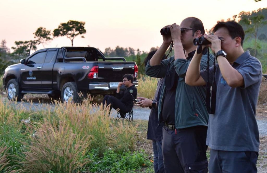 National park officials monitor wild elephants that had received contraception vaccines on January 27. Photo: Thailand Department of National Parks, Wildlife and Plant Conservation/AP