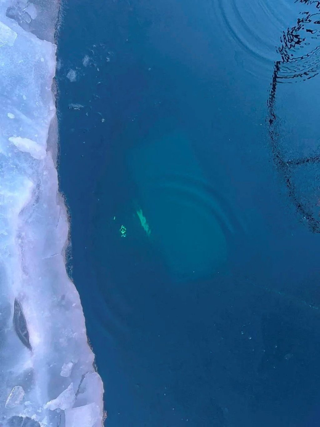 ரஷ்யாவின் பைக்கால் ஏரியில் சீன சுற்றுலா பயணிகள் சென்ற பேருந்து பனிக்கட்டியுடன் மோதியதில் 8 பேர் உயிரிழந்தனர்.