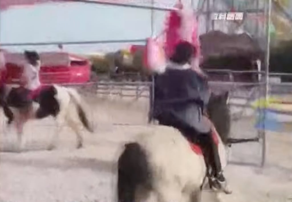 A park staff member noted that the ride gained popularity, with most time slots fully booked. Photo: YouTube