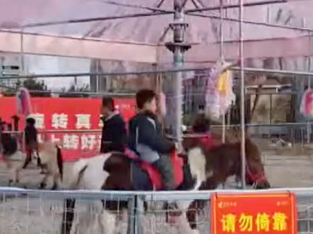 Videos shared on social media reveal six horses secured to a metal carousel frame, each placed around one metre apart. Photo: YouTube