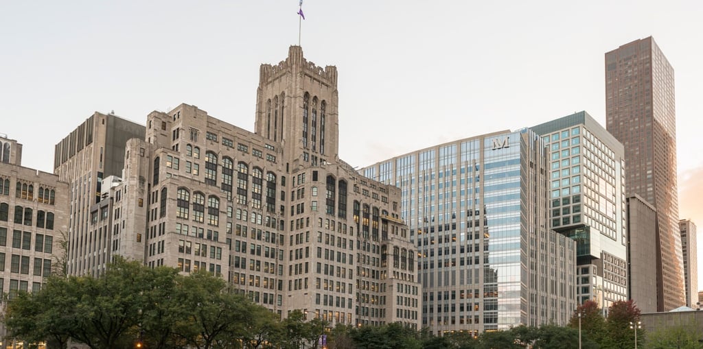 Chinese-American neuroscientist Jane Wu was a tenured faculty member at Northwestern University’s Feinberg School of Medicine. Photo: Northwestern University Chinese-American neuroscientist Jane Wu was a tenured faculty member at Northwestern University’s Feinberg School of Medicine. Photo: Northwestern University