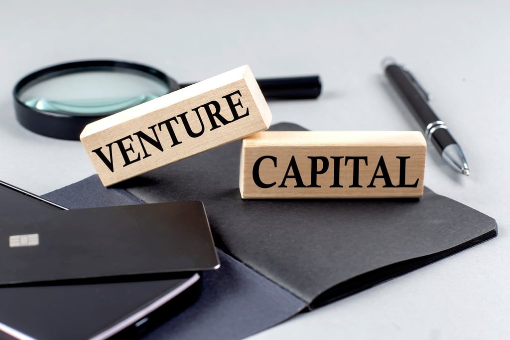 In the first 11 months of 2025, 4,871 new venture capital funds were established in China, up 16.7 per cent from a year earlier. Photo: Shutterstock