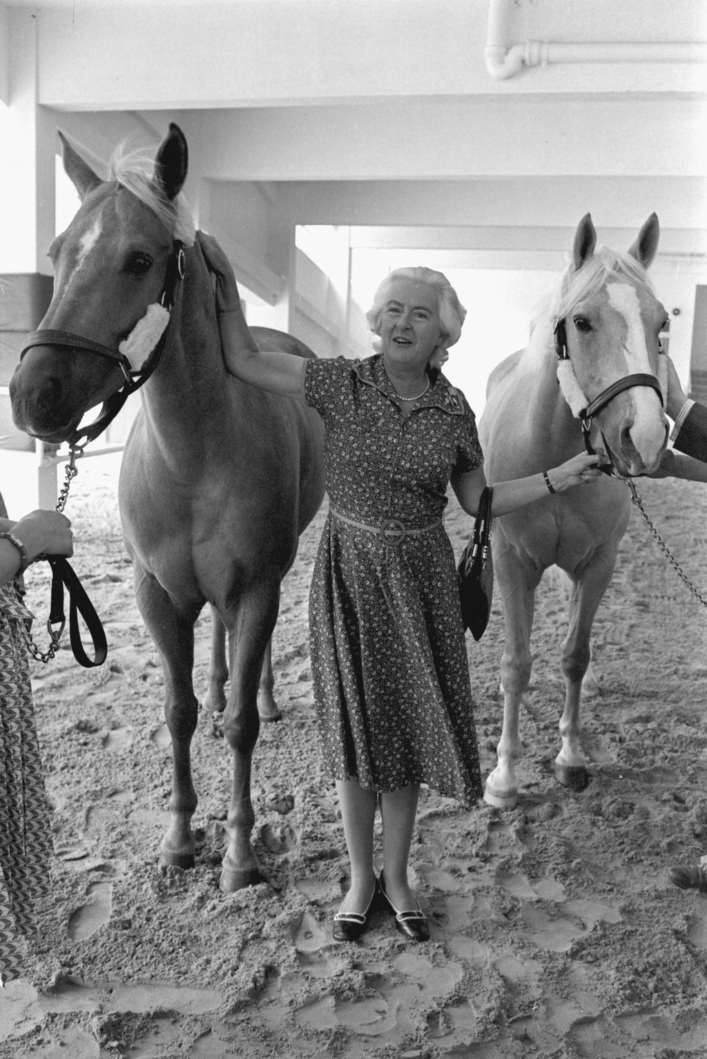 Lady Margaret Noel MacLehose, wife of Governor Murray MacLehose and founder of the Hong Kong branch of the Riding for the Disabled Association, receives two Palomino horses from the president of RJ Reynolds Tobacco Asia Pacific, Lester Pullen, at the newly opened Royal Hong Kong Jockey Club’s Pok Fu Lam Public Riding School in 1978. Photo: SCMP Archives