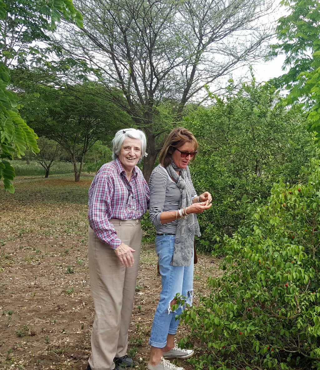 The writer Anthea Rowan walks with her mother Lala years before the latter was diagnosed with dementia, but when signs of the condition were beginning to emerge. Photo: Anthea Rowan The writer Anthea Rowan walks with her mother Lala years before the latter was diagnosed with dementia, but when signs of the condition were beginning to emerge. Photo: Anthea Rowan