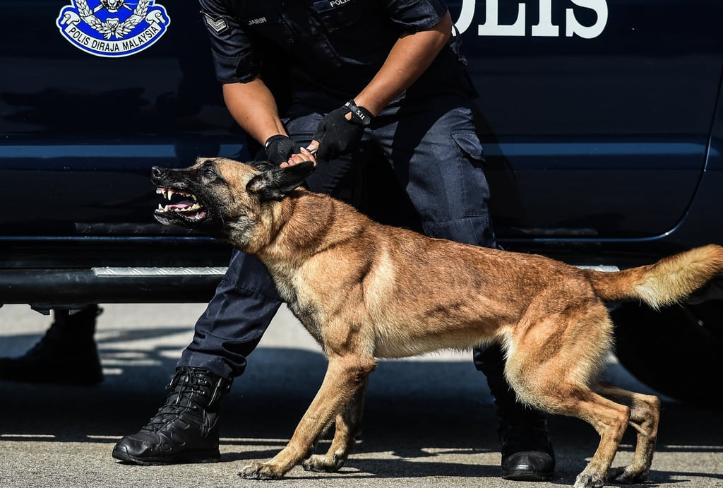 A Royal Malaysian Police K-9 unit takes part in a parade in Kuala Lumpur. Photo: AFP