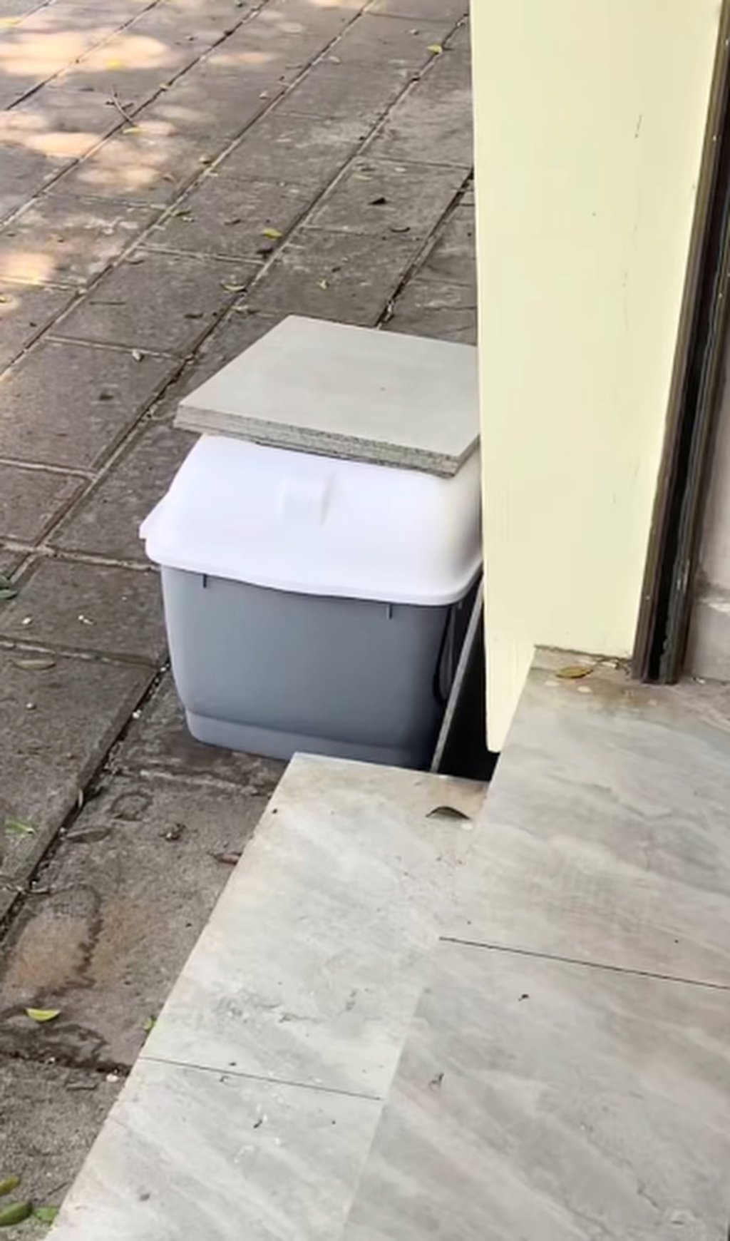 The shop owner found the kitten inside the pet carrier, above, which had been left outside her business. Photo: Douyin The shop owner found the kitten inside the pet carrier, above, which had been left outside her business. Photo: Douyin