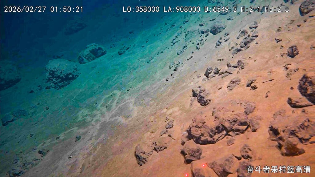 The view from the bottom of the Atacama Trench. Photo: Handout
