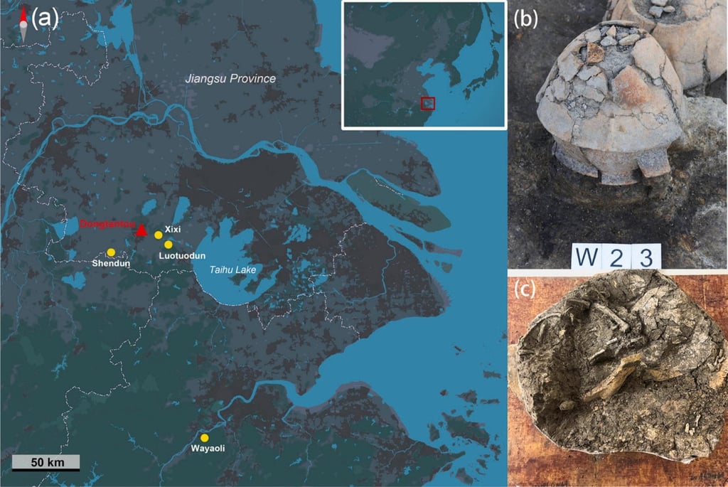 A study published in the Journal of Archaeological Science illuminates how early societies in China understood individuals who died during the perinatal period, specifically infants aged 34 to 40 weeks gestational age. Photo: Journal of Archaeological Science