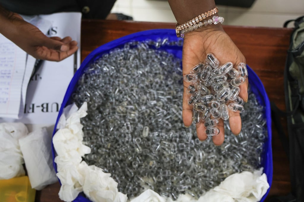 Ants stored in specialised tubes. Photo: AP Ants stored in specialised tubes. Photo: AP