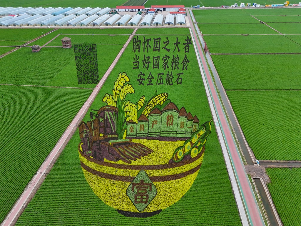 An aerial drone photo shows a paddy field in Fujin, Heilongjiang province. China plans to grow nearly 90 per cent of its own grain by 2032. Photo: Xinhua