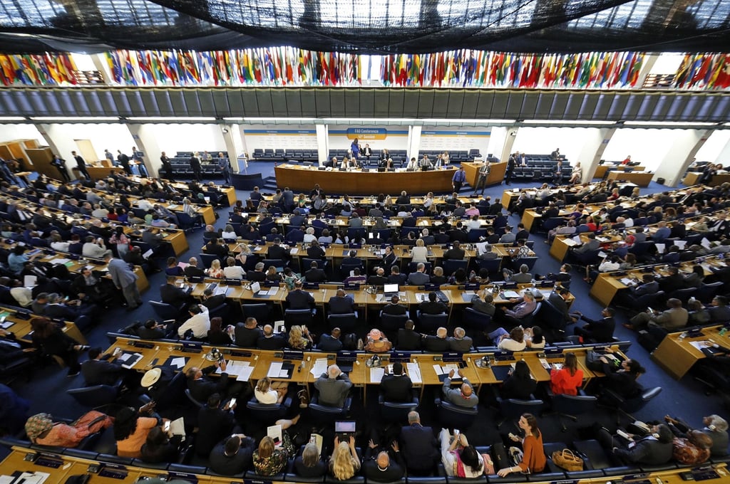 Delegates at a UN Food and Agriculture Organization conference in Rome, in 2019. Photo: EPA-EFE
