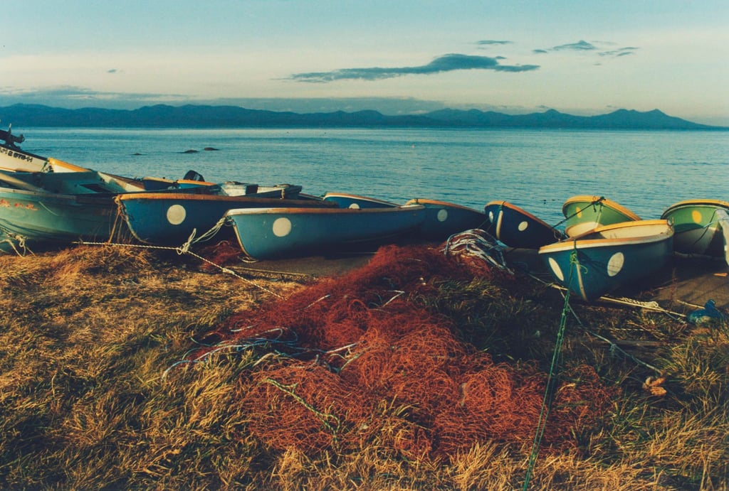 Aomori Natsudomari by Koji Onaka. Photo: Handout Aomori Natsudomari by Koji Onaka. Photo: Handout