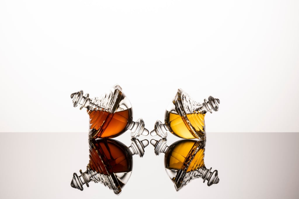 Henry Jacques Les Toupies Collection: Fanfan and Galileo. Photo: Handout