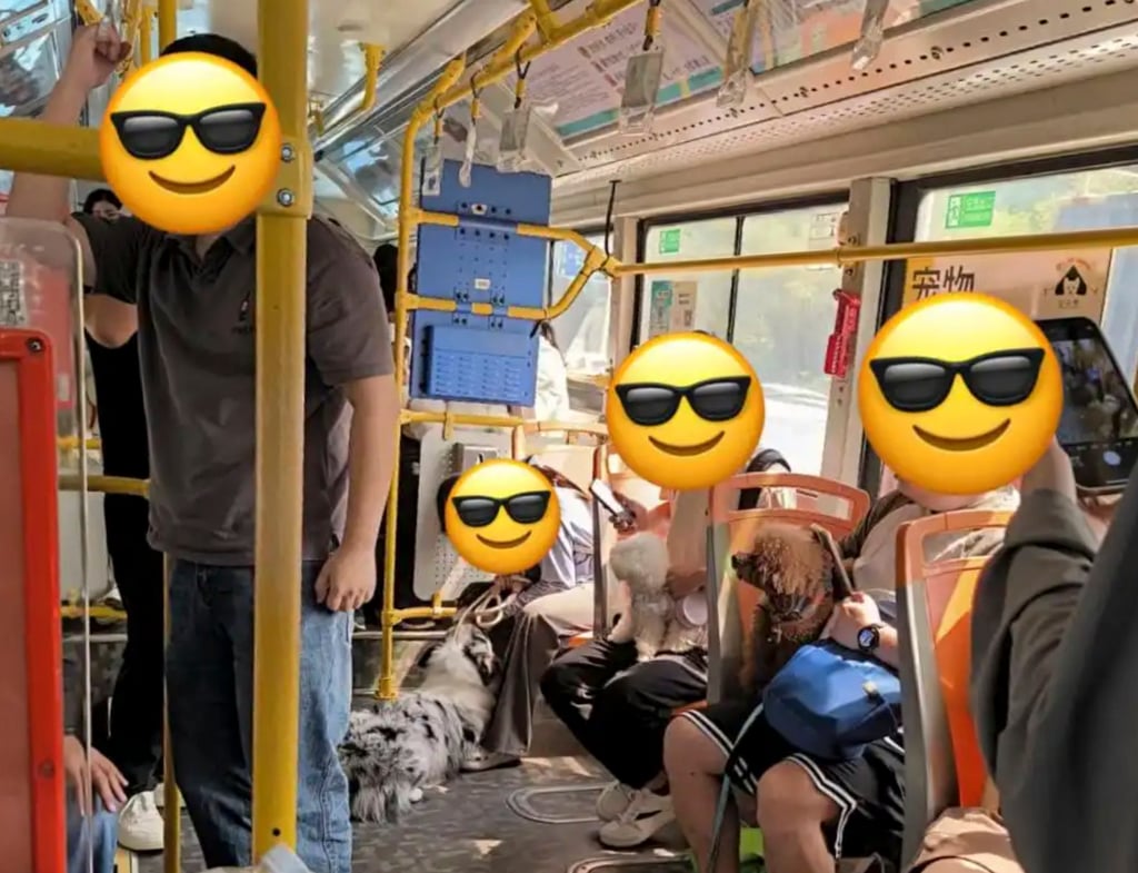 The pet-friendly bus, above, allows passengers to travel with their furry friends. Photo: baijiahao.baidu.com